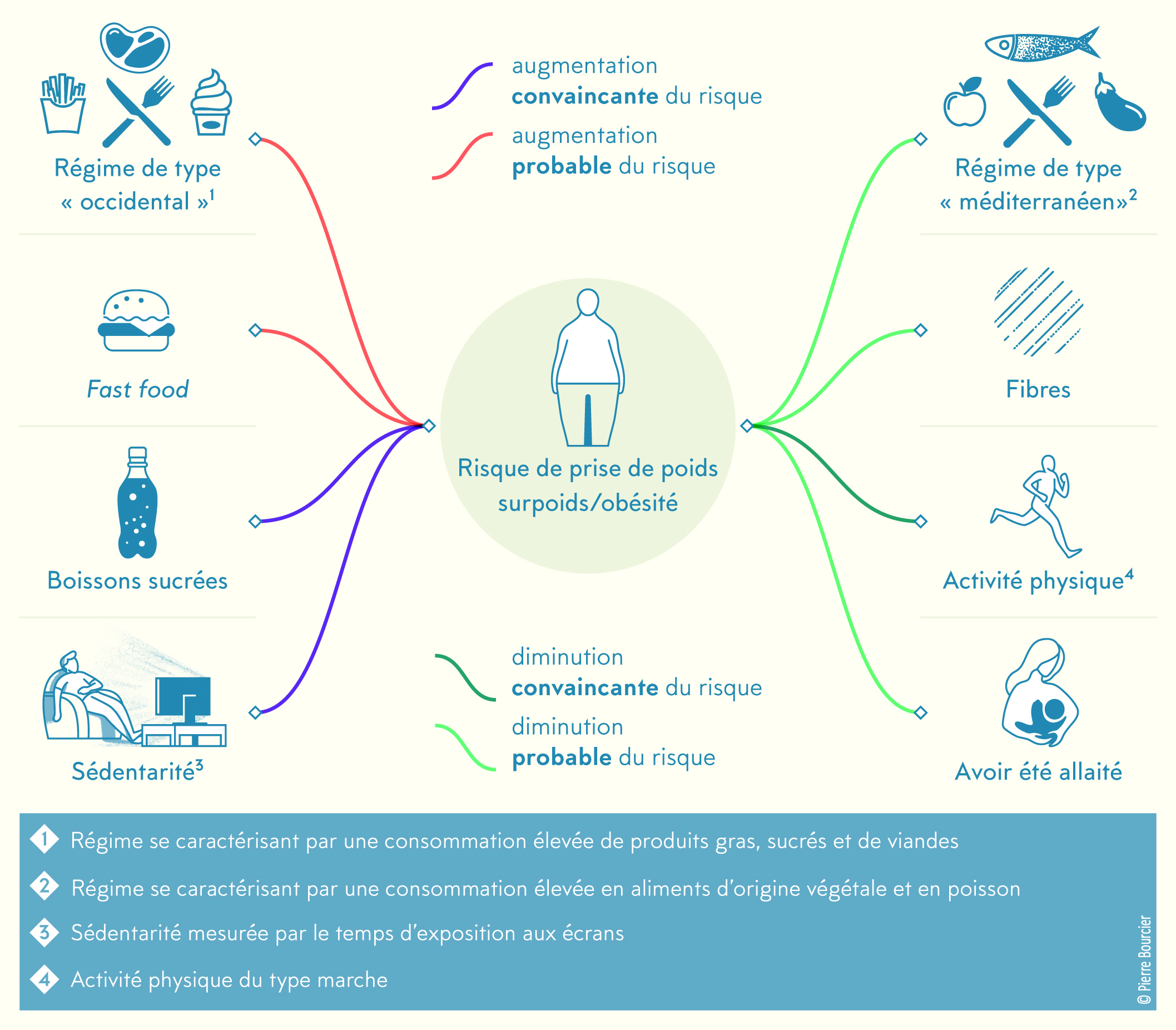 Illustration des facteurs de risque et facteurs protecteurs pour la prise de poids